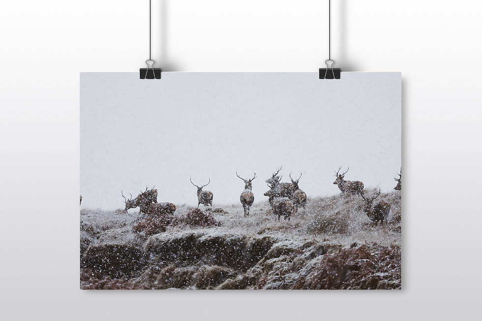Thumbnail: Poster print
