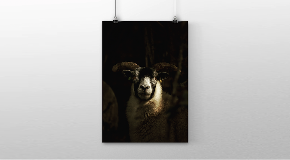 Thumbnail: Poster print