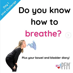 Pelvic Floor and Breathing.png
