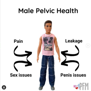 I Thought Only Females Had Pelvic Floor Muscles