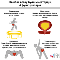 Copy of Kazakh 4 PFM Jobs Muscles ON_new.png