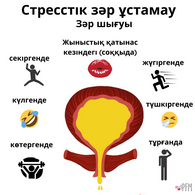 Copy of Kazakh Stress Urinary Incontinence.png