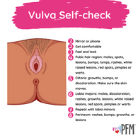 English Vulva Self-check.png