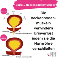 German Bladder & PFM