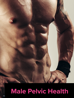 PF Male Pelvic Health Cover.png