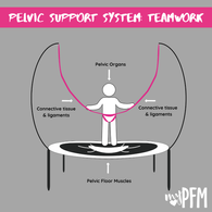 Pelvic support system teamwork - PFM.png