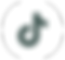 NOOX Power Social Icon Tiktok