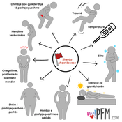 Copy of Red_flags Albanian.png