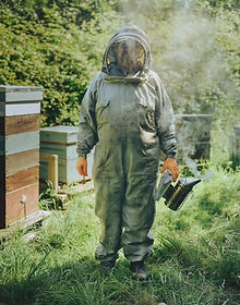 John in bee suit.jpg