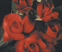 zakład pogrzebowy Dorska 4lok3