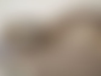 淀屋橋アトリエ　営業日についてお知らせ