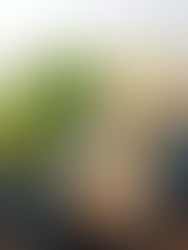 【糀レシピ】まずはこれ！生糀ドレッシング