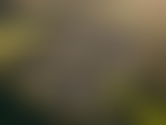 Top Property Investment Opportunities in the UK