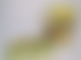 BRAZO DE REINA ALJOSAN