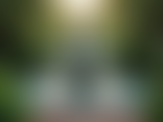 Discover the Hidden Serenity of Melbourne's Historic Gardens and Iconic Landmarks