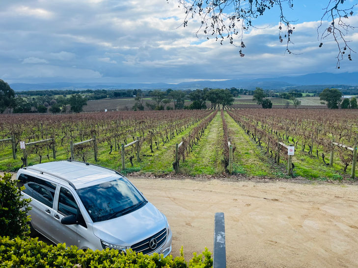 Van parked by a vineyard, rows of plants and mountains in background.