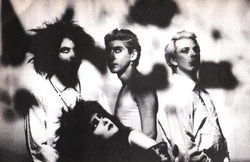 Siouxsie & the Banshees