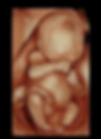 4d baby 8.jpeg