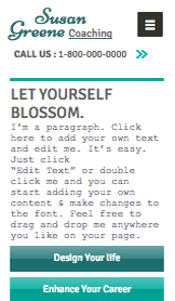 Güzellik website templates – Yaşam Koçu