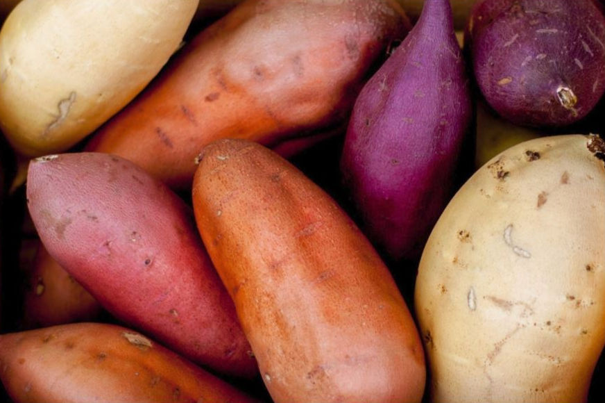 Assortment of white, orange, red, and purple sweet potatoes
