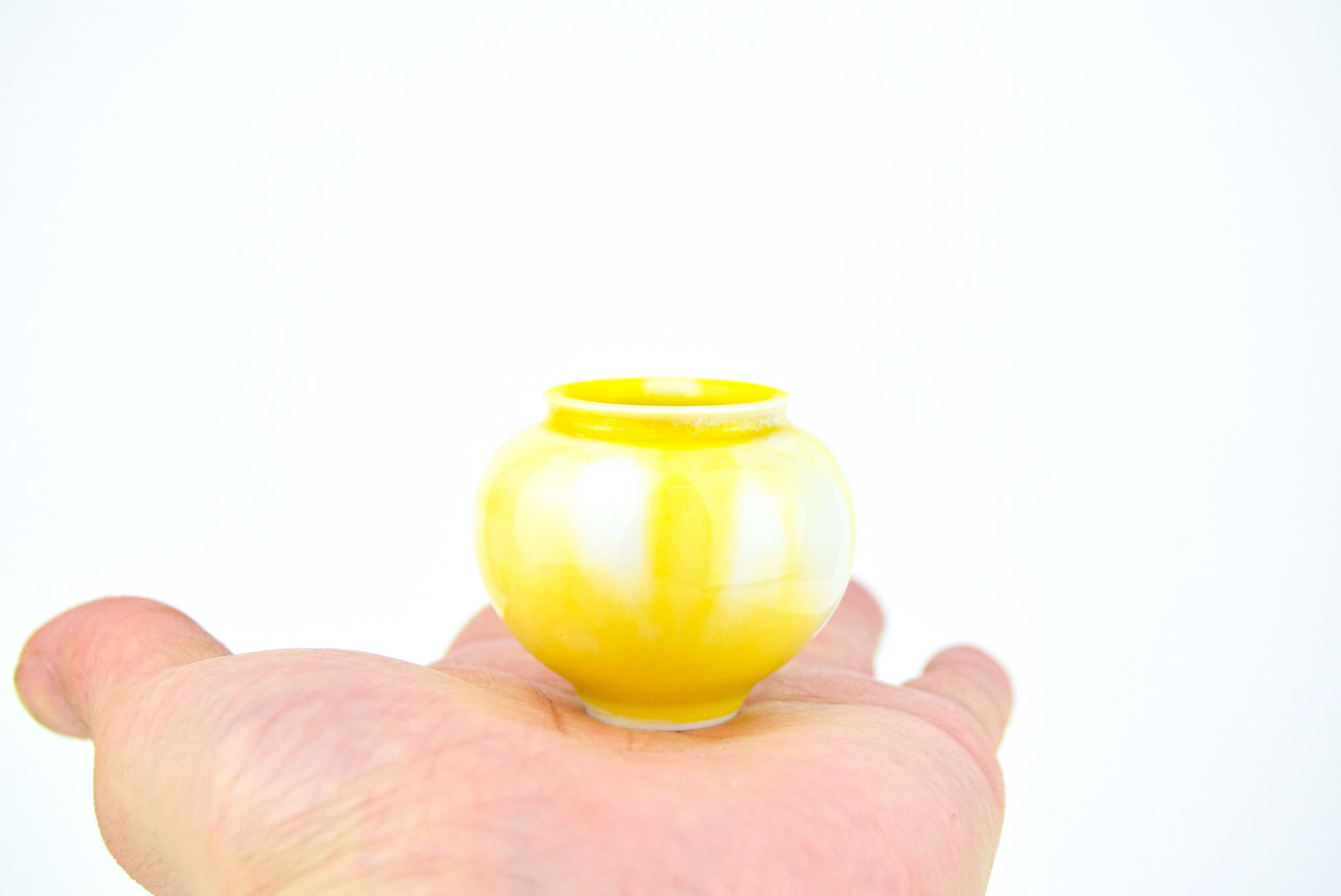 No.161  Yuta Segawa Miniature Pot Medium