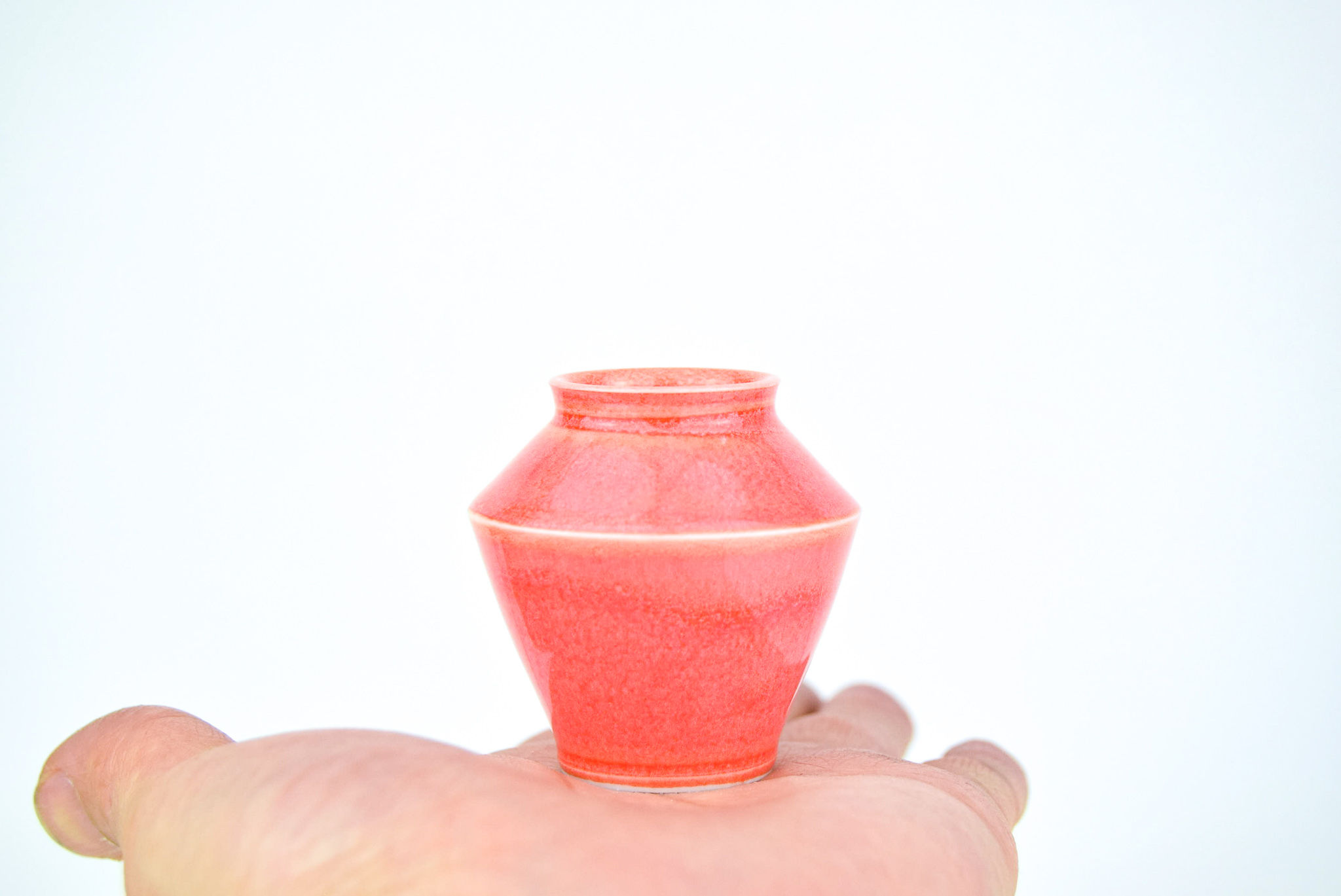 No.300 Yuta Segawa Miniature Pot Large