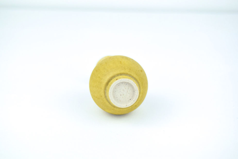 Thumbnail: No.304 Yuta Segawa Miniature Pot Large