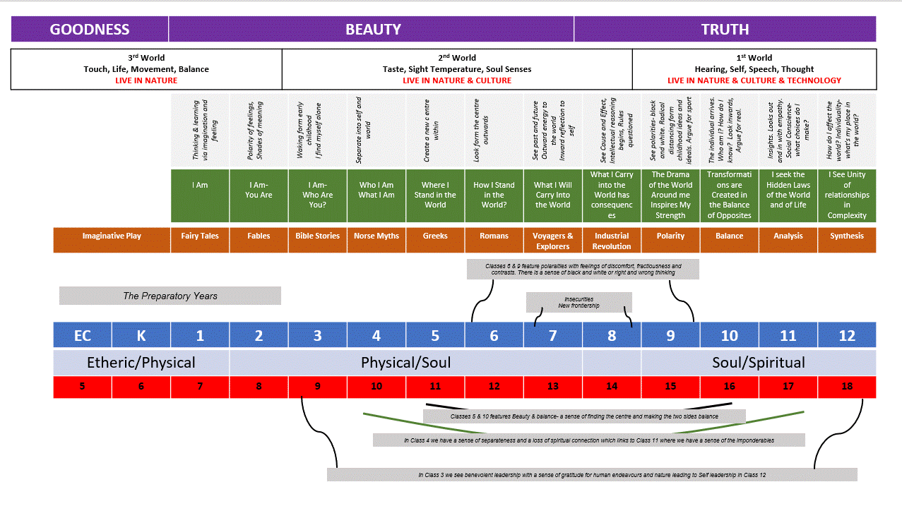 curriculum picture.gif