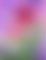 My first published art project!