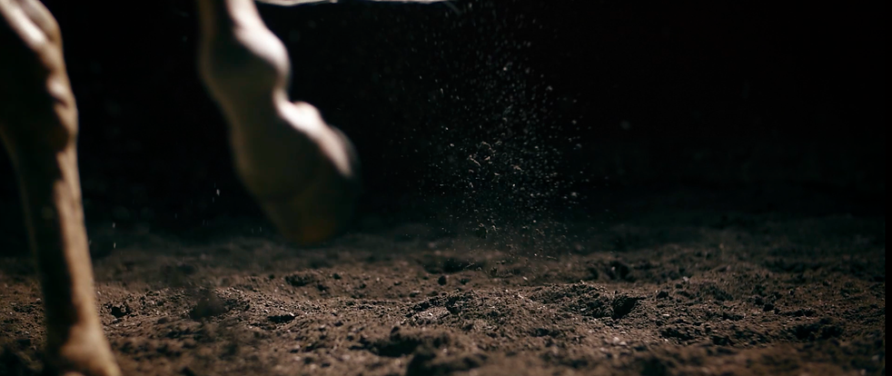 Little pepe videoclip