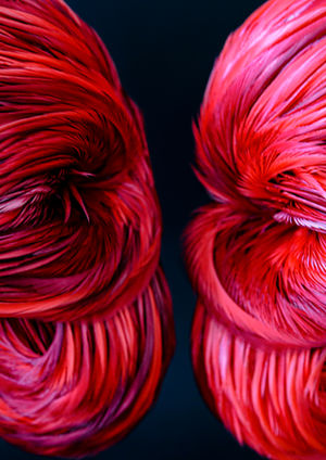 Laurence le constant, plumes, crâne, skull, vanité, feather, feather art, feather artist, plumasserie, Laurence-le-constant, Laurence-leconstant artiste,
