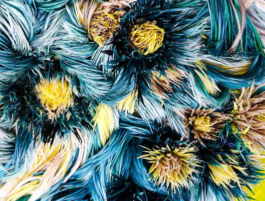 Close-up detail of Birth Song, a contemporary artwork composed of recycled feathers arranged in organic forms.