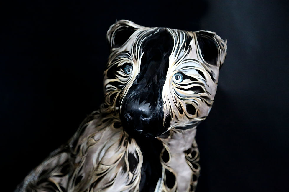 Callisto – Face Detail