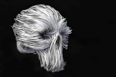 Homo faber 2022, Homo faber, Laurence le constant, fondation giorgio cini, Fondation Michelangelo, Plumes, crâne, skull, vanité, feather, father art, feather artiste, plumasserie, Laurence-le-constant,
