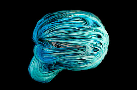 Homo faber 2022, Homo faber, Laurence le constant, fondation giorgio cini, Fondation Michelangelo, Plumes, crâne, skull, vanité, feather, father art, feather artiste, plumasserie, Laurence-le-constant,