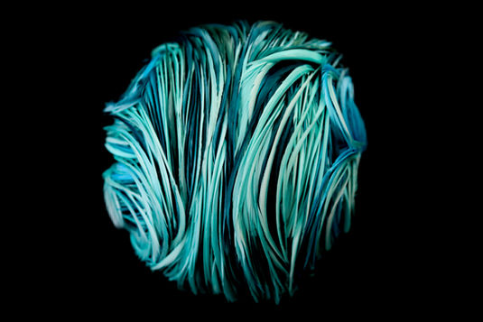 Homo faber 2022, Homo faber, Laurence le constant, fondation giorgio cini, Fondation Michelangelo, Plumes, crâne, skull, vanité, feather, father art, feather artiste, plumasserie, Laurence-le-constant,
