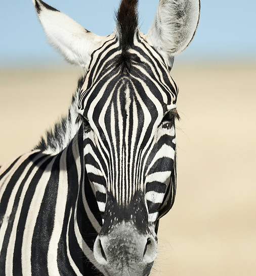 getty-images-KlqQvFvP4YY-unsplash.jpg