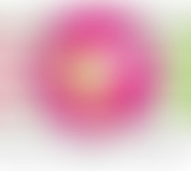 Interview für die Aktion Pflanzenpower