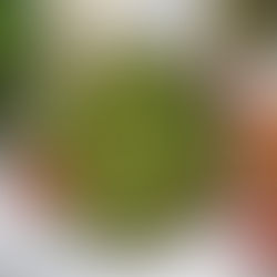 Mit diesem Rezept holen wir den Sommer nochmal auf unsere Teller zurück!