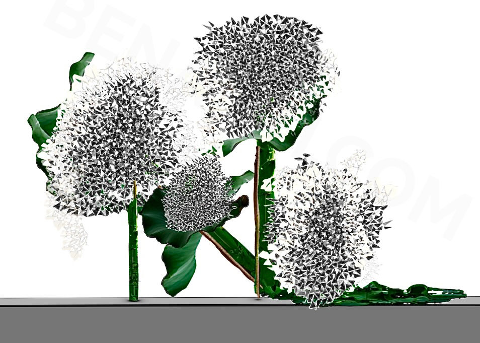 THE FLOWER EXHIBIT