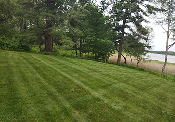 IMG_20250613_090628.jpg