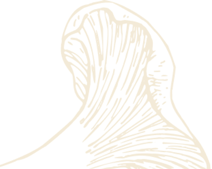 Mushroom yellow.png