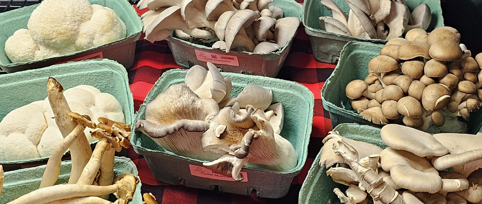 All About Mushroom.png
