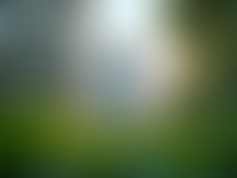 Vermak Estate: Ihre vertrauenswürdige Immobilienberatung