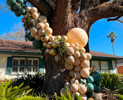 BUSSINES, HOME & ADULTS - MR BALLOON EVENTS