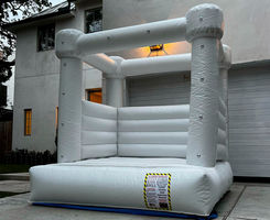 Mr. Balloon Events