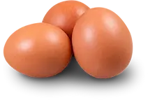 Grupo 12 copia.webp