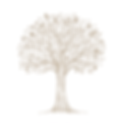 ChatGPT Image Jun 8, 2025, 09_40_44 PM.png