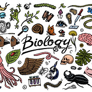 Biology.jpg
