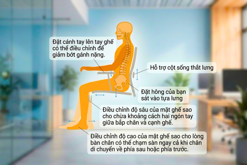 The correct sitting posture is when the chair components are adjusted so that the back, neck, arms, and legs form an ergonomic angle.